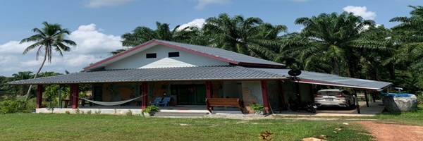 Land for Sale, House for Sale, Chumphon, Saphli,Thungwualean, Thung Wua Lean